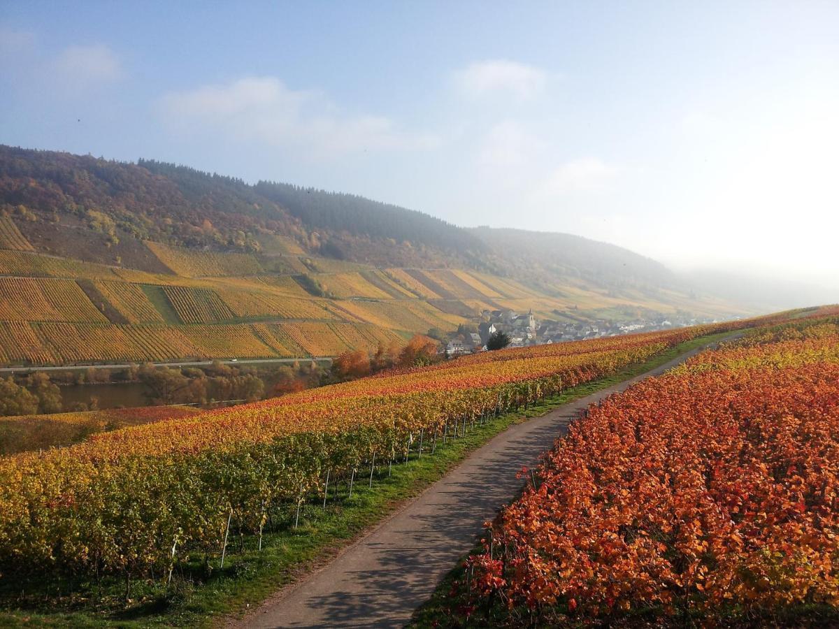 Weingut-Brennerei-Gaestehaus Emil Dauns 레일 외부 사진