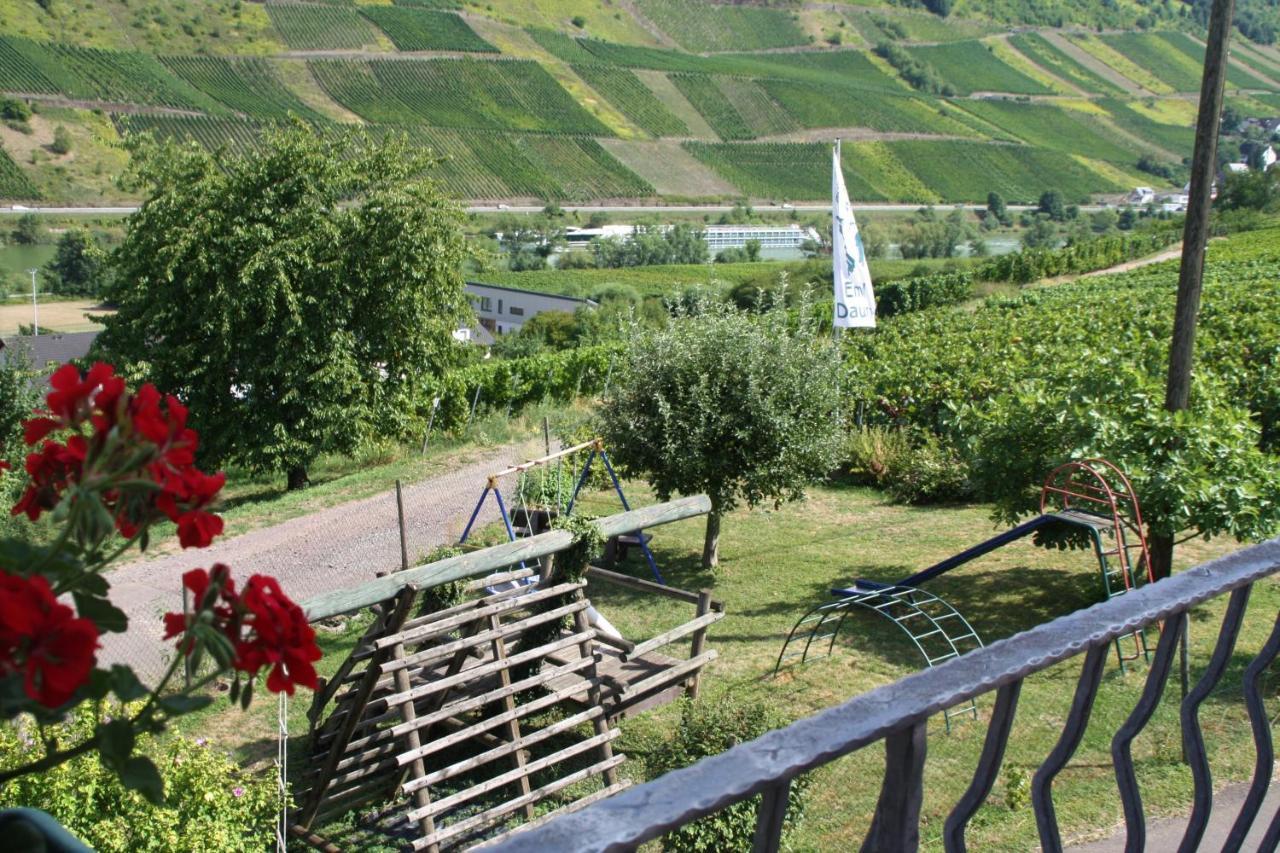 Weingut-Brennerei-Gaestehaus Emil Dauns 레일 외부 사진
