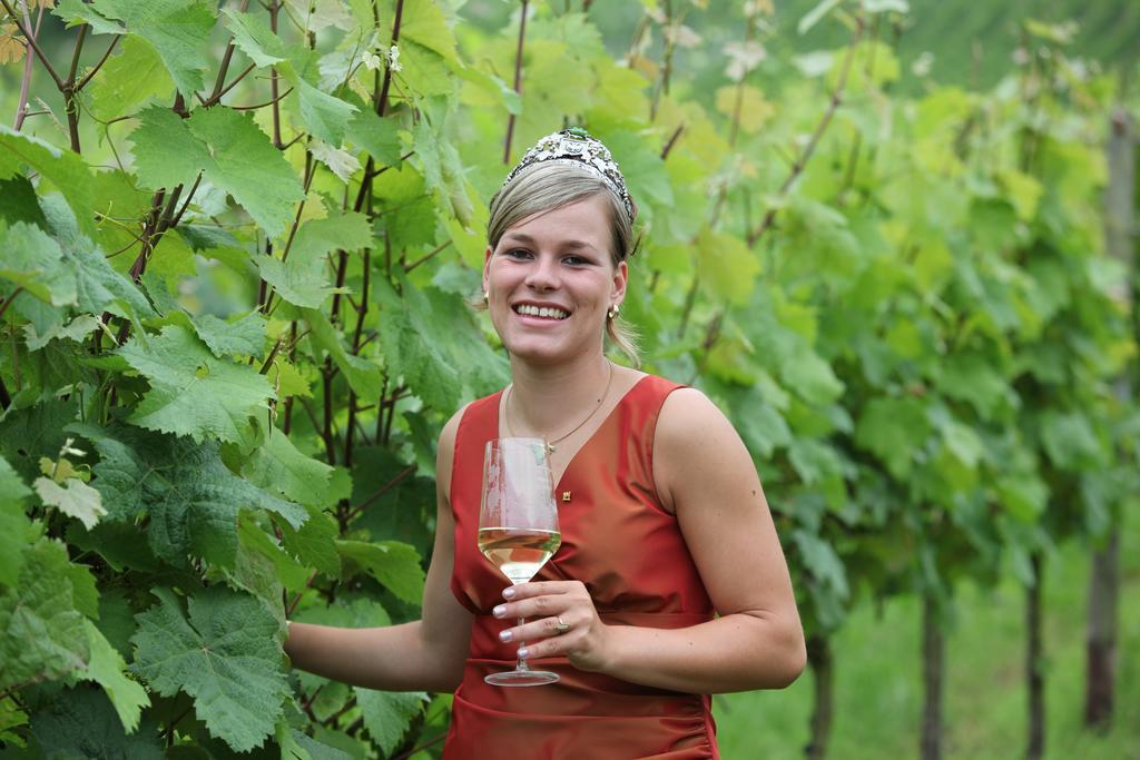 Weingut-Brennerei-Gaestehaus Emil Dauns 레일 외부 사진
