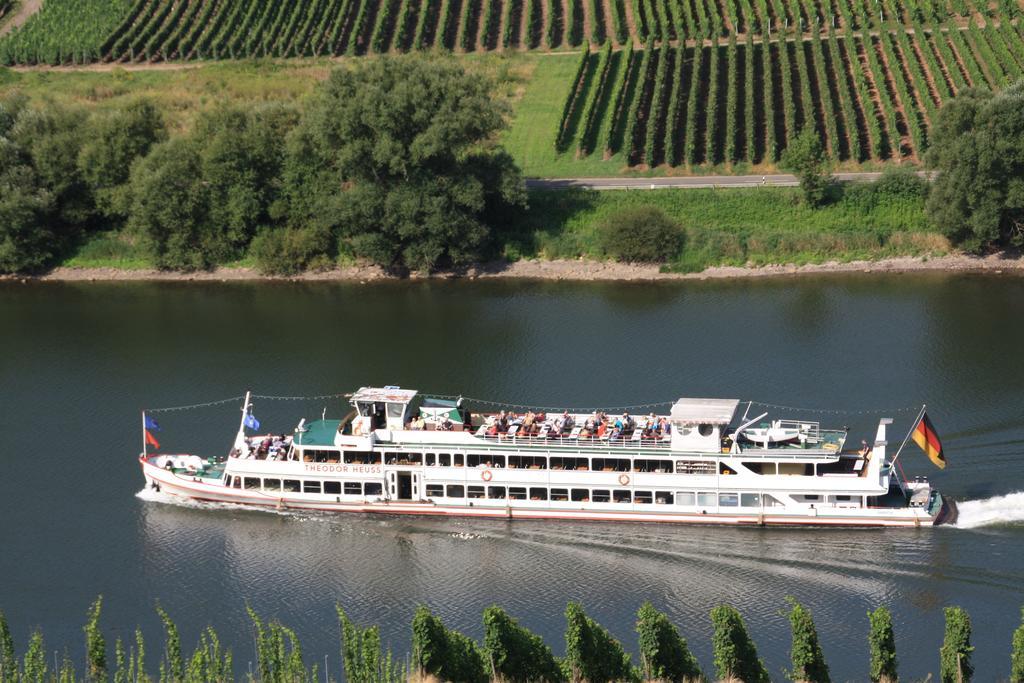 Weingut-Brennerei-Gaestehaus Emil Dauns 레일 외부 사진