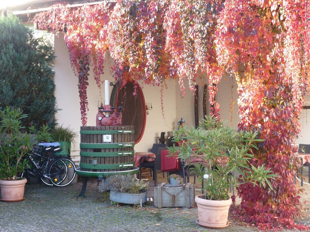 Weingut-Brennerei-Gaestehaus Emil Dauns 레일 외부 사진