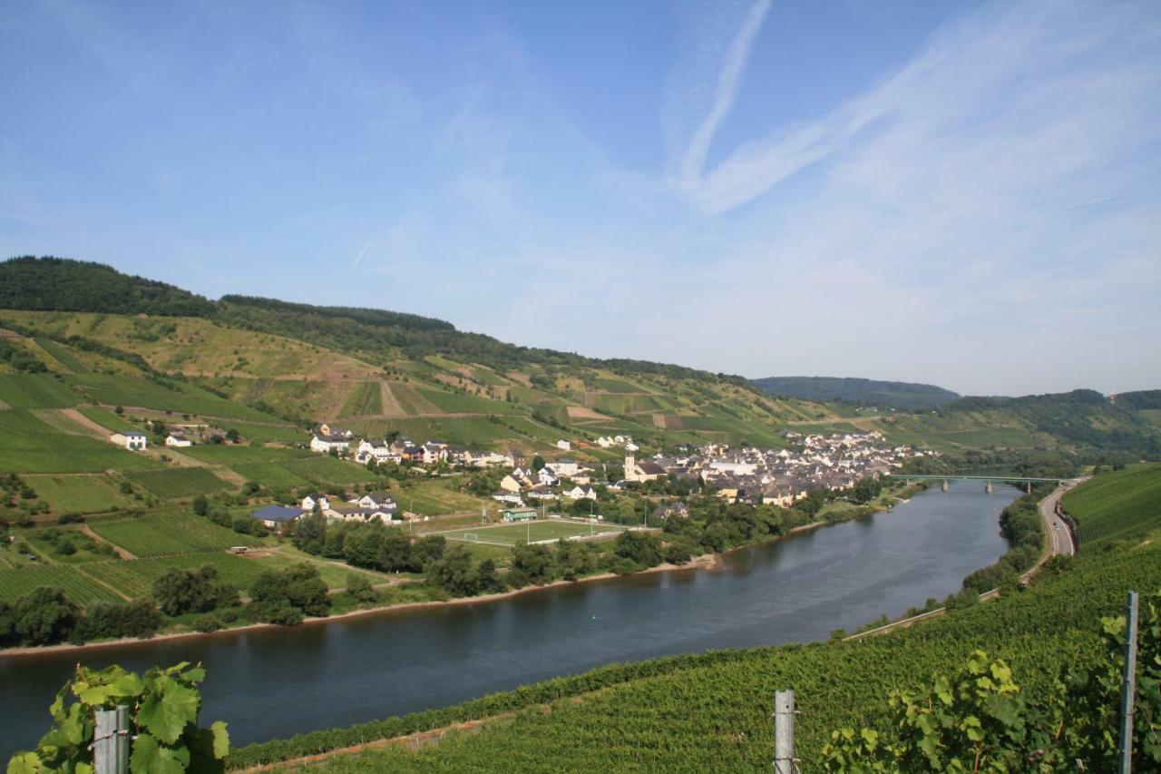 Weingut-Brennerei-Gaestehaus Emil Dauns 레일 외부 사진