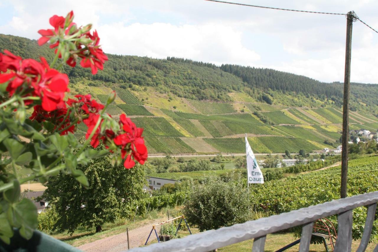 Weingut-Brennerei-Gaestehaus Emil Dauns 레일 외부 사진